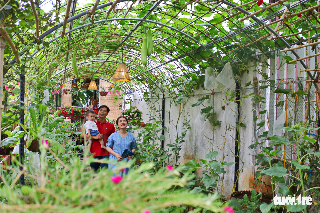 Đôi vợ chồng ở Sài Gòn biến khu đất 273m² thành vườn rau đầy cây trái sau thời gian cách ly - Ảnh 1.