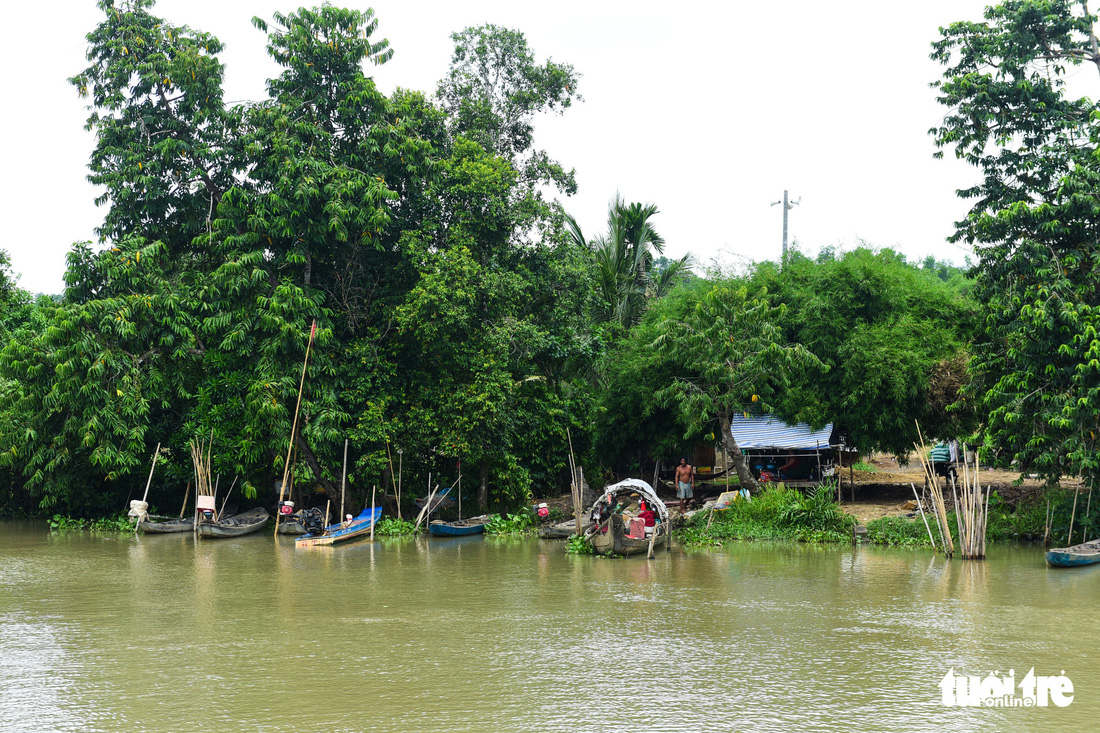 Tháng 7, TP.HCM mở tuyến tàu cao tốc từ bến Bạch Đằng - Bình Dương - Địa đạo Củ Chi - Ảnh 6.