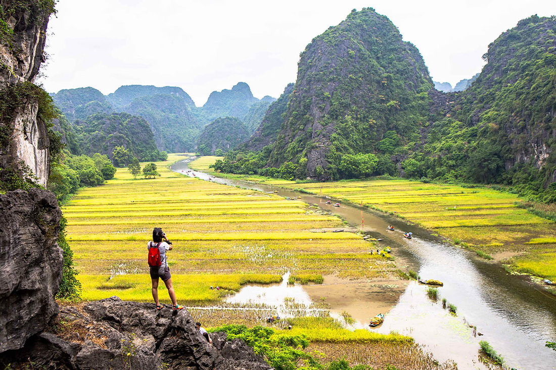 Mùa lúa chín ở cố đô - Ảnh 1.