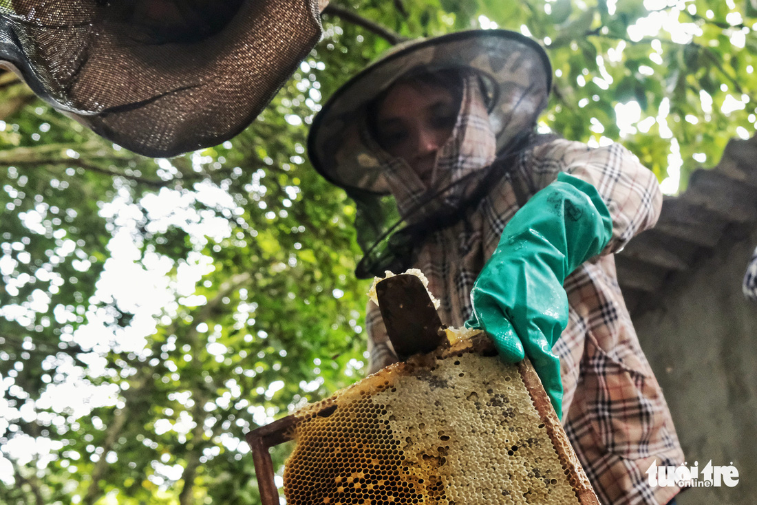 Một ngày theo chân gia đình gần 30 năm nuôi ong lấy mật - Ảnh 8.