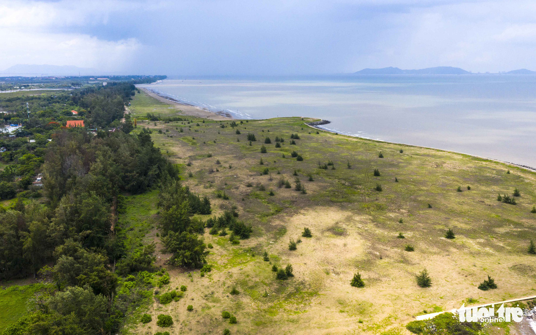 Dự án khu đô thị du lịch lấn biển Cần Giờ: Phải bảo tồn nguyên vẹn rừng ngập mặn - Ảnh 1.
