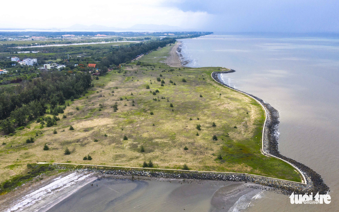 Dự án khu đô thị du lịch lấn biển Cần Giờ: Phải bảo tồn nguyên vẹn rừng ngập mặn - Ảnh 3.