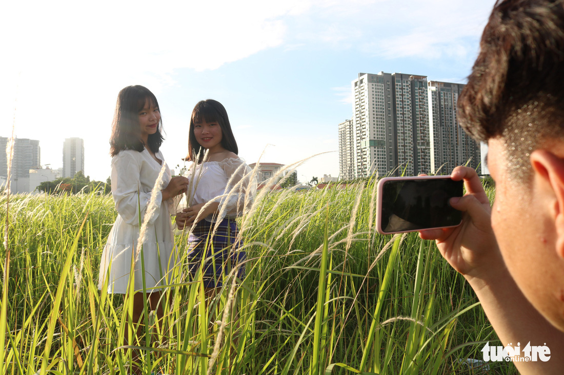 Bạn trẻ Sài Gòn thích thú check-in với cánh đồng cỏ hoang lau trắng - Ảnh 6.