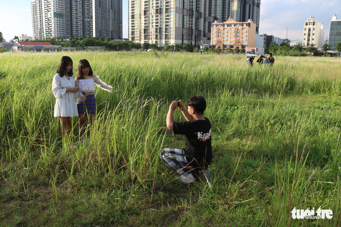 Bạn trẻ Sài Gòn thích thú check-in với cánh đồng cỏ hoang lau trắng - Ảnh 2.