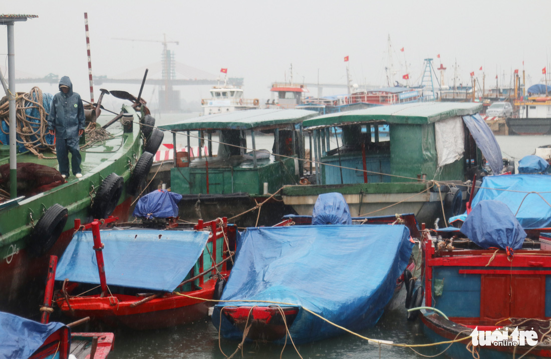 Ngư dân hối hả đưa hải sản vào bờ tránh bão số 2 - Ảnh 2.