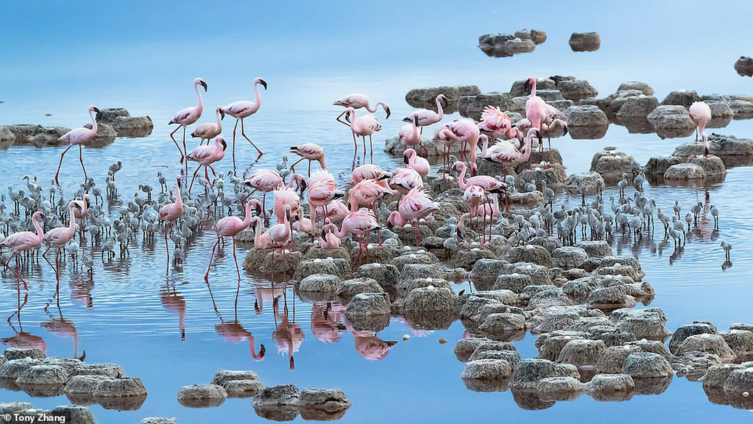 Mùa dịch ở nhà và ngắm thế giới tươi đẹp qua ống kính National Geographic Traveller - Ảnh 6.