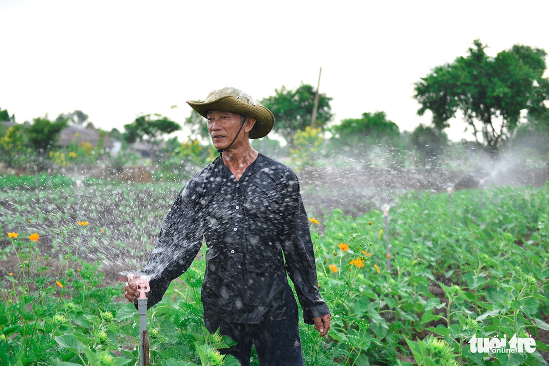 Thỏa thích tung tẩy giữa cánh đồng hoa rực rỡ tại quận 9 - Ảnh 10.