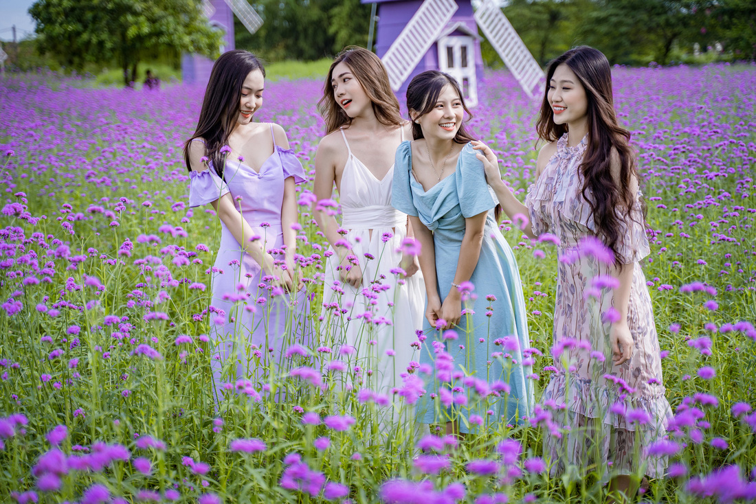 Cánh đồng hoa oải hương thảo đầu tiên tại Hà Nội hút hồn du khách - Ảnh 3.