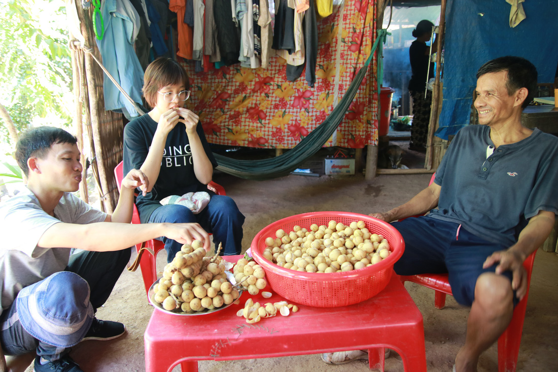 Mùa thu hoạch bòn bon ăn hoài mệt nghỉ ở xứ Quảng - Ảnh 2.