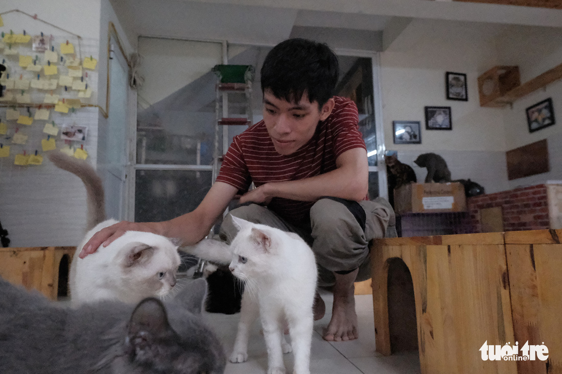 Ngôi nhà cứu những chú mèo bất hạnh của thanh niên Việt xuất hiện trên AFP - Ảnh 1.