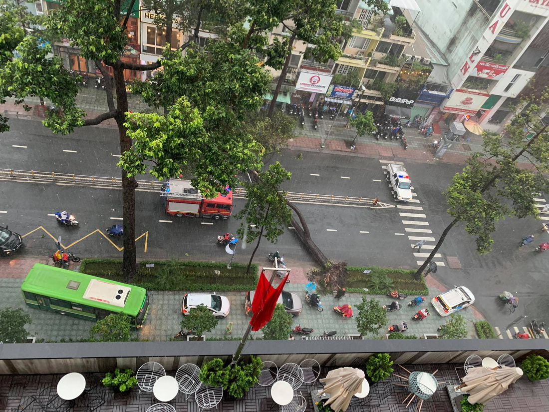 Cây bật gốc đổ ngang đường Nguyễn Tri Phương làm 1 người bị thương, ngập và kẹt xe nhiều nơi - Ảnh 4.