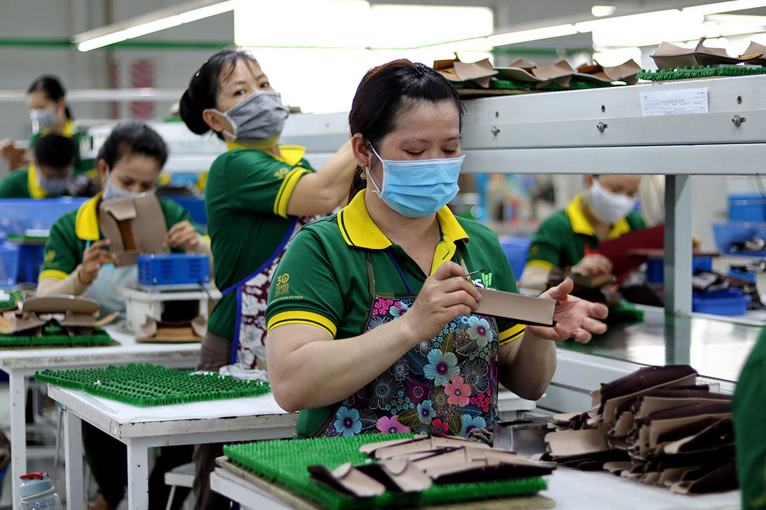 Bộ trưởng Mai Tiến Dũng nói về thương hiệu quốc gia Việt Nam và hậu trường chống dịch khác WHO - Ảnh 1.