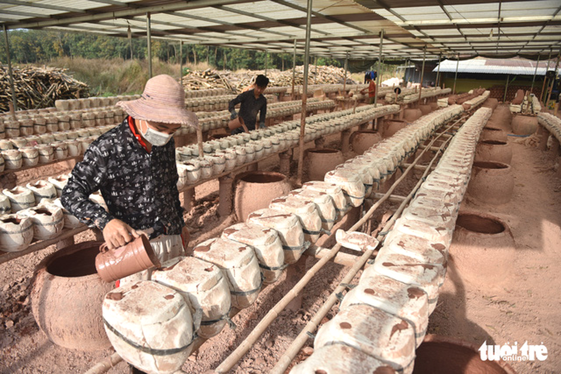 Nhộn nhịp làm trâu vàng Tân Sửu chào xuân - Ảnh 2.