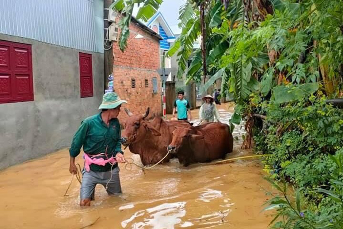 Nước sông dâng nhanh, người dân Quảng Nam tất bật chạy tránh lũ - Ảnh 1.