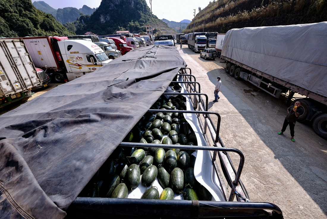 Xe, tài xế, nông sản nằm chờ ở cửa khẩu Lạng Sơn - Ảnh 9.
