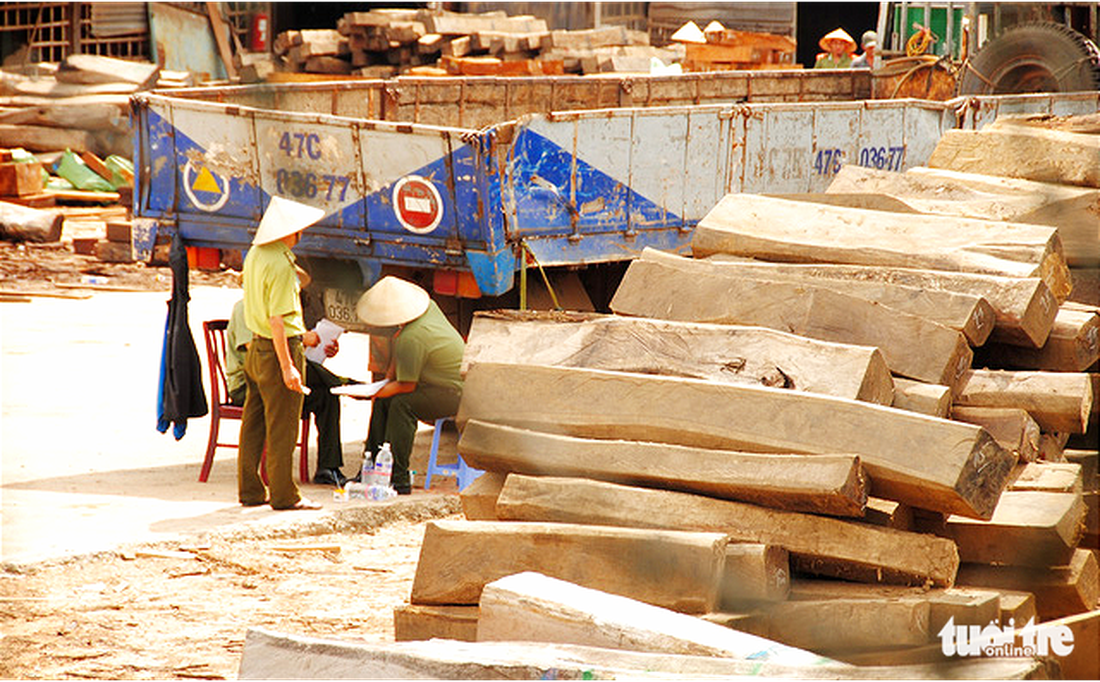 Vụ ‘tráo gỗ tang vật’ ở Đắk Lắk: Chưa xử lý lãnh đạo cục vì đang bị bệnh - Ảnh 2.