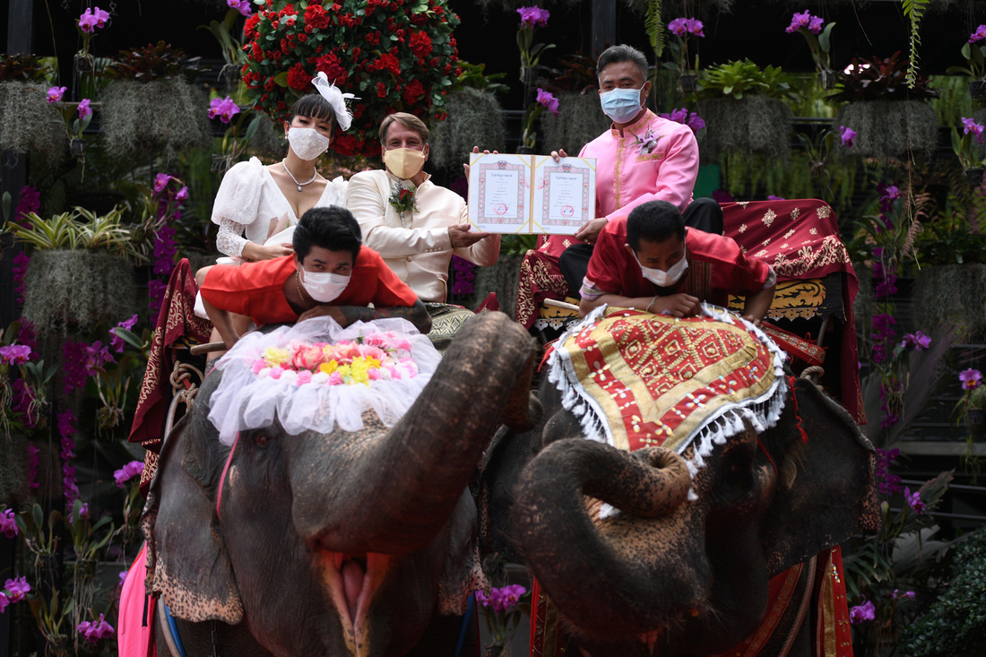 52 cặp đôi Thái làm đám cưới trên lưng voi vào ngày Lễ tình nhân - Ảnh 1.