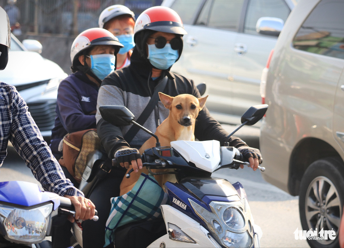 Bà con các tỉnh trở lại Sài Gòn sau Tết thưa hơn mọi năm, bến xe vẫn siết phòng dịch - Ảnh 5.