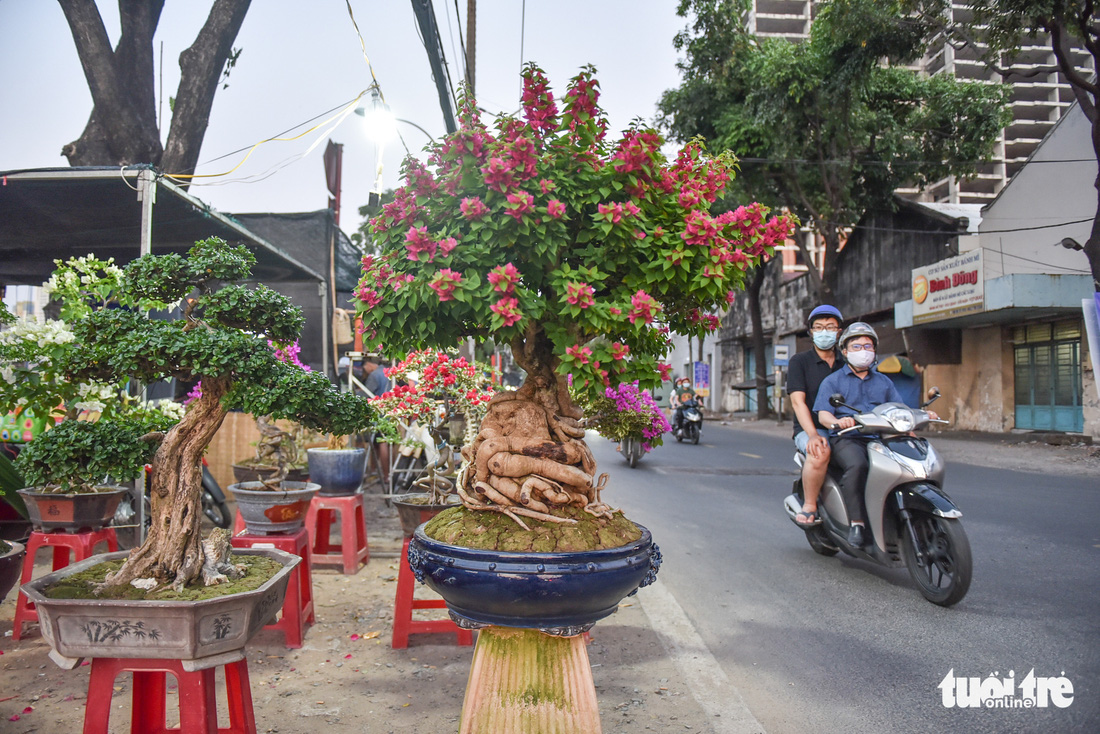 Thuyền hoa cập Bến Bình Đông chở tết đến Sài Gòn - Ảnh 8.