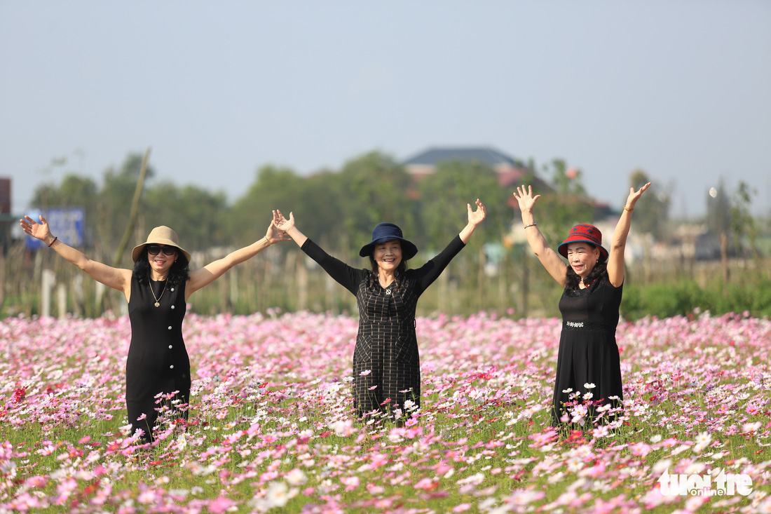 Chỉ trồng sao nhái mà lung linh ơi là lung linh - Ảnh 8.