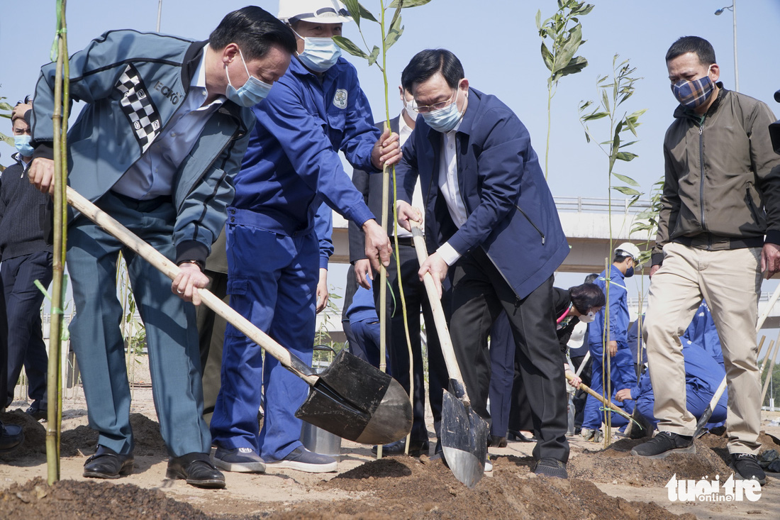 Coi cây xanh như món quà gửi con cháu mai sau - Ảnh 2.