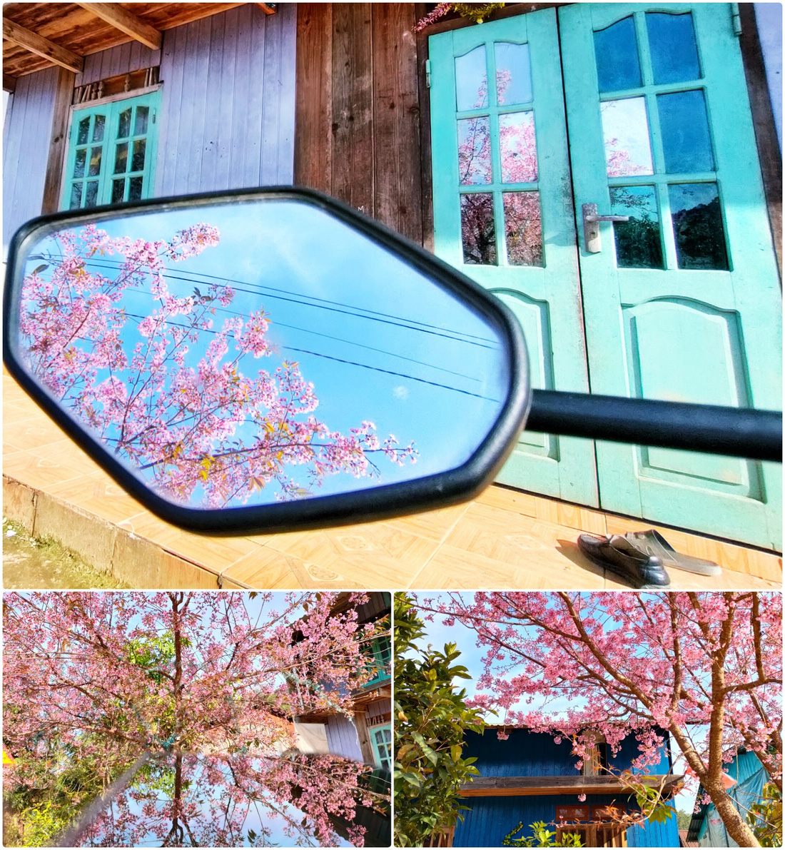 Ngôi làng rực rỡ hoa đào ở Lâm Đồng qua ống kính OPPO Reno5 - Ảnh 4.
