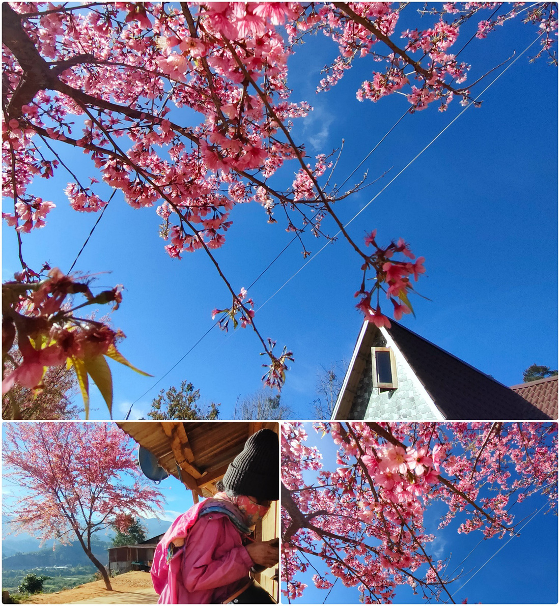 Ngôi làng rực rỡ hoa đào ở Lâm Đồng qua ống kính OPPO Reno5 - Ảnh 10.