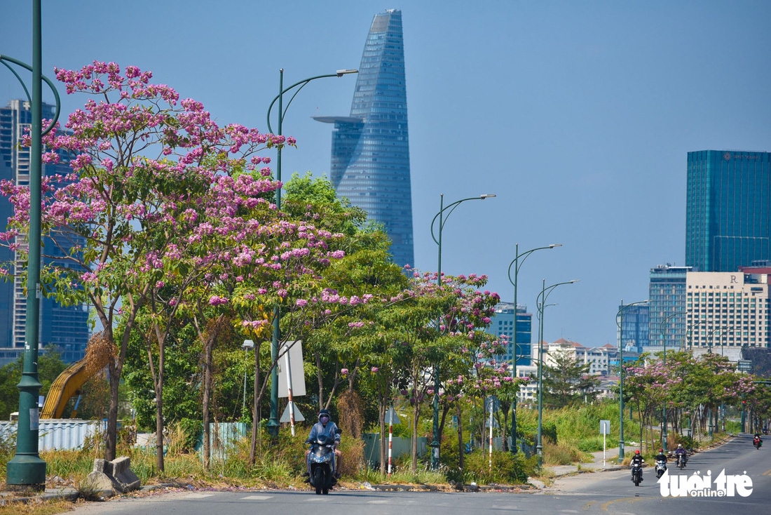 Bạn trẻ rủ nhau check-in với sắc hoa kèn hồng - Ảnh 6.