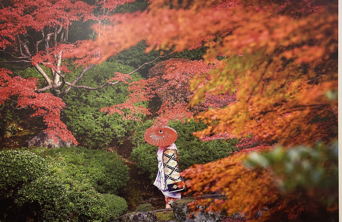 Khoảnh khắc bí ẩn các Maiko Nhật Bản qua khung hình đẹp hút hồn của nhiếp ảnh gia Pháp - Ảnh 4.
