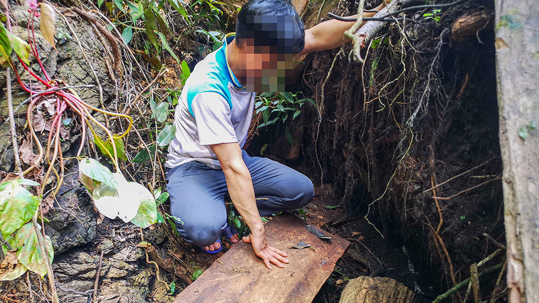 Chảy máu rừng đặc dụng Cham Chu: Tàn sát cổ thụ để lấy nu gỗ - Ảnh 6.