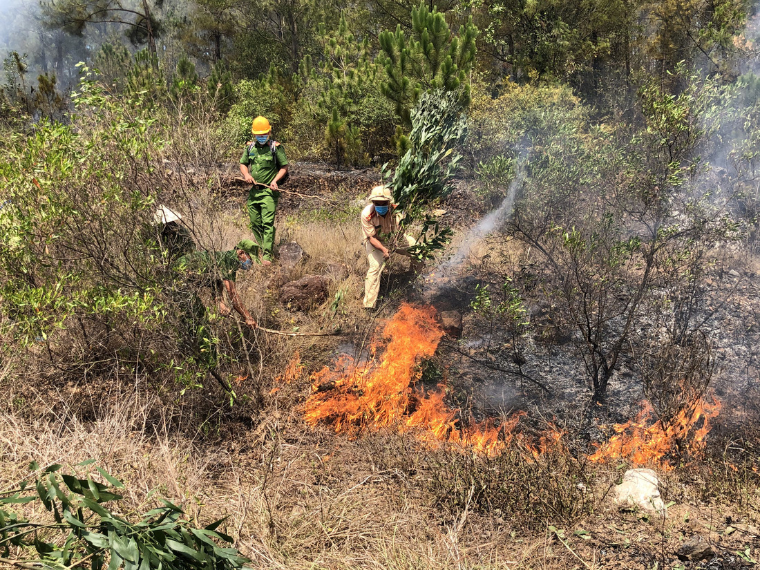 Rừng thông ở Quảng Nam cháy dữ dội nhiều giờ liền - Ảnh 2.
