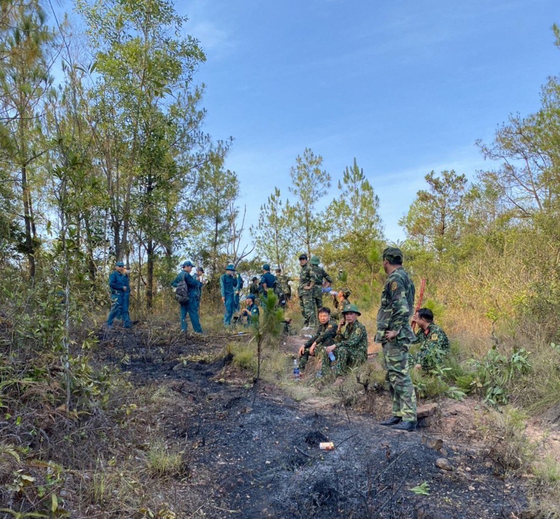 Rừng thông ở Quảng Nam cháy dữ dội nhiều giờ liền - Ảnh 6.