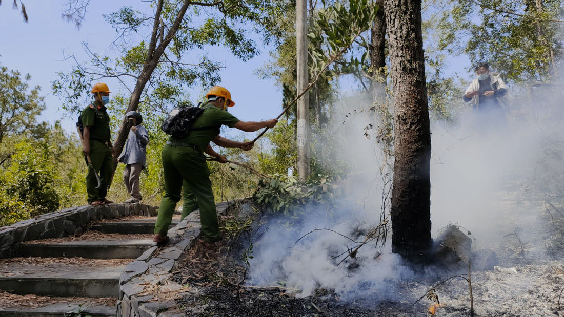 Rừng thông ở Quảng Nam cháy dữ dội nhiều giờ liền - Ảnh 5.