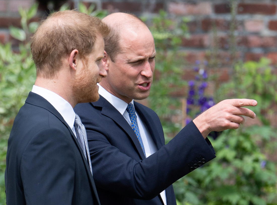 Hoàng tử Anh William và Harry cùng khánh thành tượng công nương Diana - Ảnh 4.