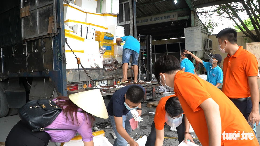 Những chuyến xe nghĩa tình đầu tiên mang 3 tấn cá từ Quảng Bình vào TP.HCM - Ảnh 1.