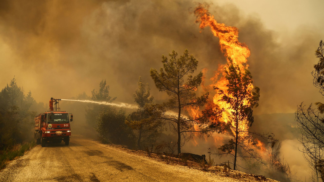 Ảnh cháy rừng ngùn ngụt tàn phá miền nam Thổ Nhĩ Kỳ - Ảnh 2.