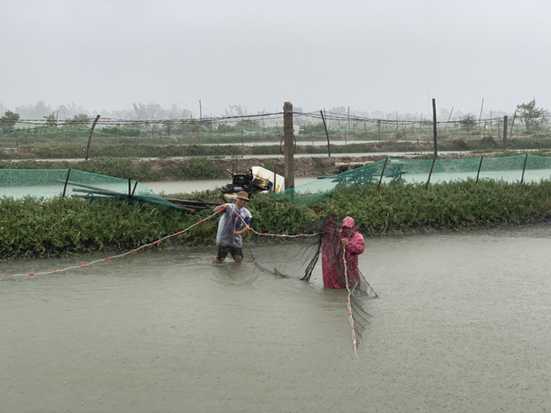 Chống bão số 5: Huế hạn chế dân ra đường, Nghệ An sơ tán dân đến nơi an toàn - Ảnh 2.