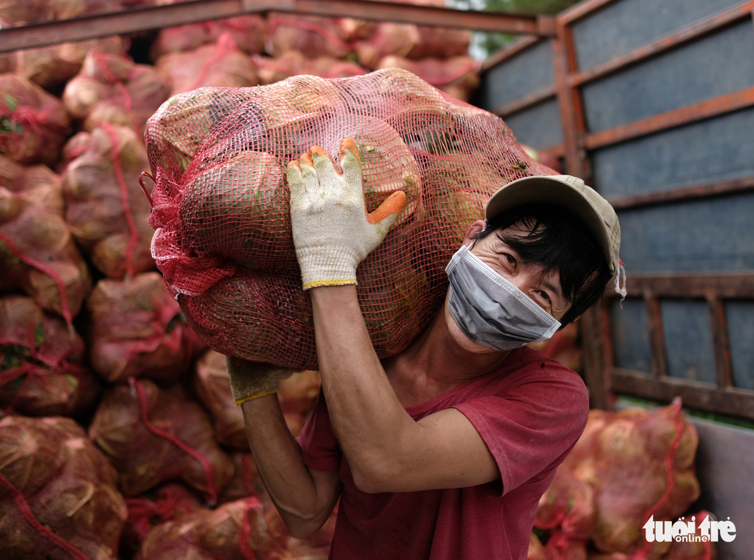 Hình ảnh đoàn xe VIP của Lâm Đồng hoàn thành chở 6.000 tấn nông sản tặng miền Nam - Ảnh 5.
