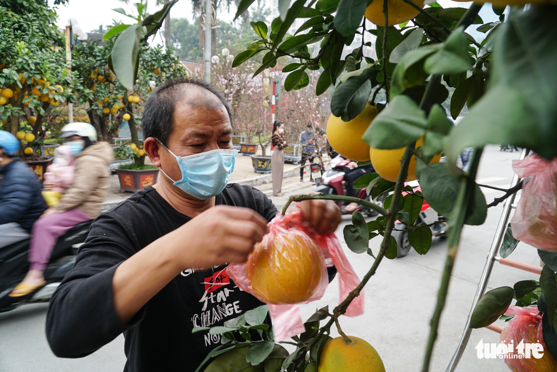 Đào hoa đã ngập phố Hà Nội, 10 người bán 1 người mua - Ảnh 8.