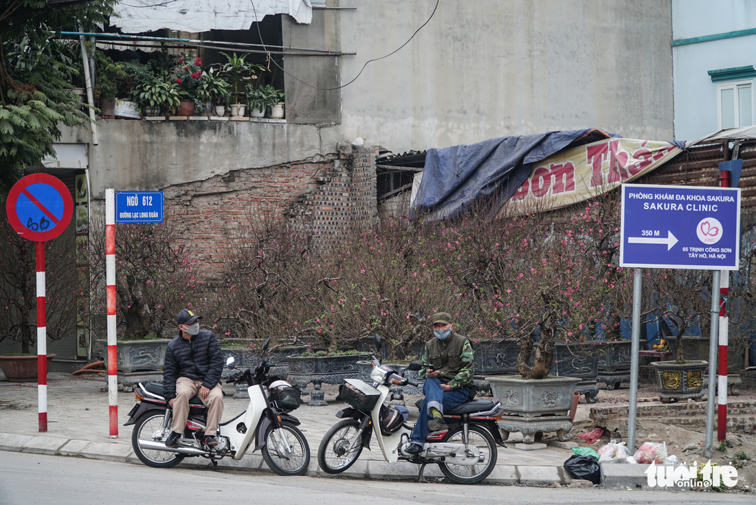 Đào hoa đã ngập phố Hà Nội, 10 người bán 1 người mua - Ảnh 9.