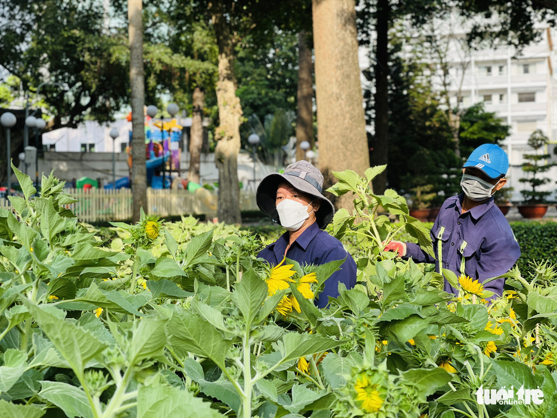 Chạy nước rút cho Hội hoa xuân Nhâm Dần tại công viên Tao Đàn - Ảnh 1.