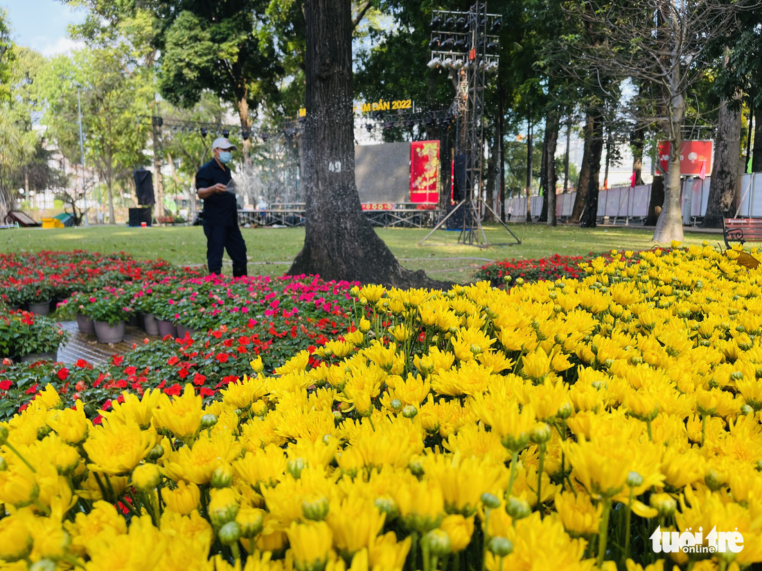 Chạy nước rút cho Hội hoa xuân Nhâm Dần tại công viên Tao Đàn - Ảnh 7.
