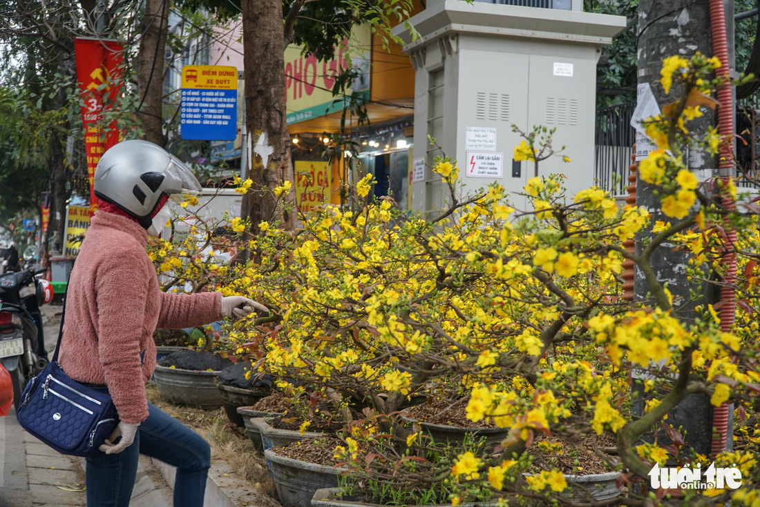 Mai Tết ở Hà Nội chưa năm nào vắng khách như năm nay, người bán lo lỗ - Ảnh 6.