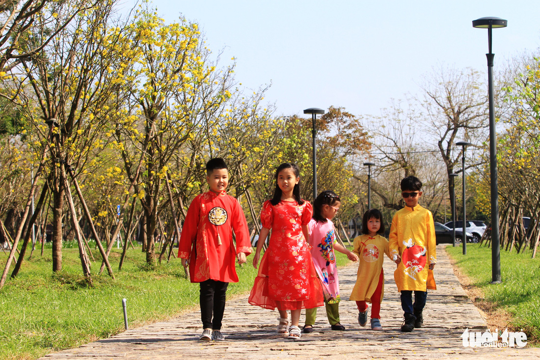 Rực sắc áo dài truyền thống trên con đường mai vàng ở Huế - Ảnh 1.