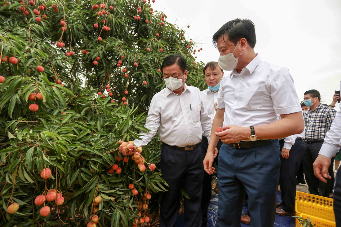 Bộ trưởng Lê Minh Hoan: Tôi rất ưu tư khi thu nhập người nông dân chưa tương xứng với tăng trưởng - Ảnh 2.