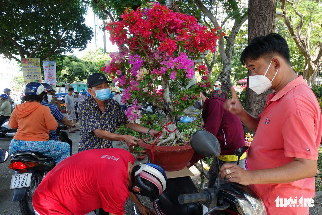 Hoa cắt cành bán chạy, hoa chưng Tết giảm giá sập sàn - Ảnh 5.