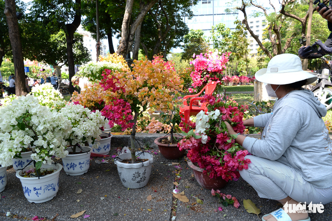 Hoa cắt cành bán chạy, hoa chưng Tết giảm giá sập sàn - Ảnh 10.