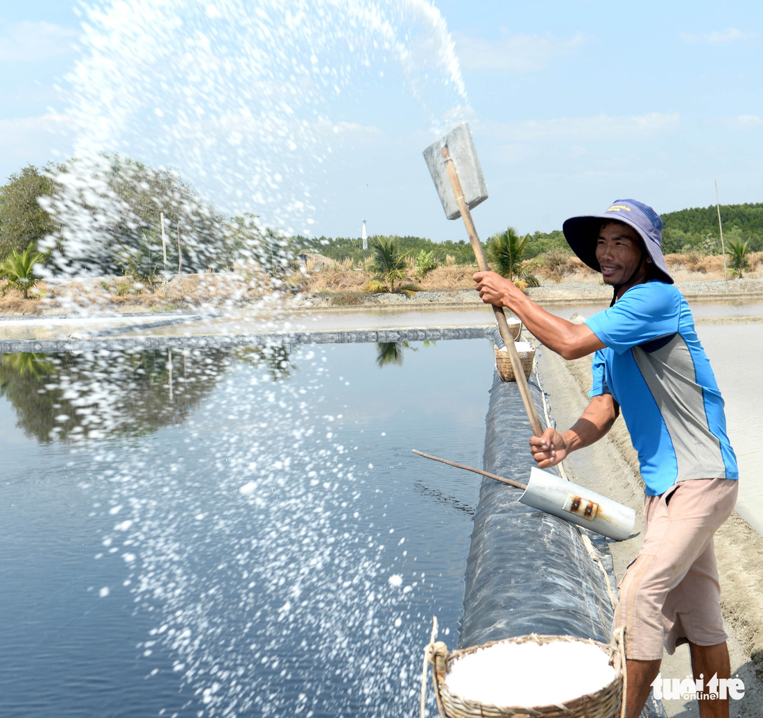 Ông vua làm muối kết tinh - Ảnh 2.