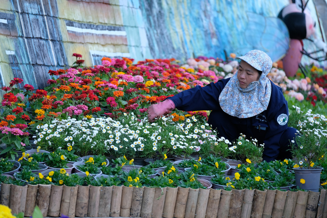 Đà Lạt dùng 500.000 chậu hoa trang điểm phố phường chờ khai mạc Festival Hoa - Ảnh 7.