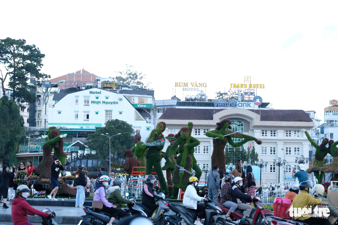 Đà Lạt dùng 500.000 chậu hoa trang điểm phố phường chờ khai mạc Festival Hoa - Ảnh 4.